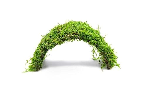 SubstrateSource Live Planted Decor - Christmas Moss on