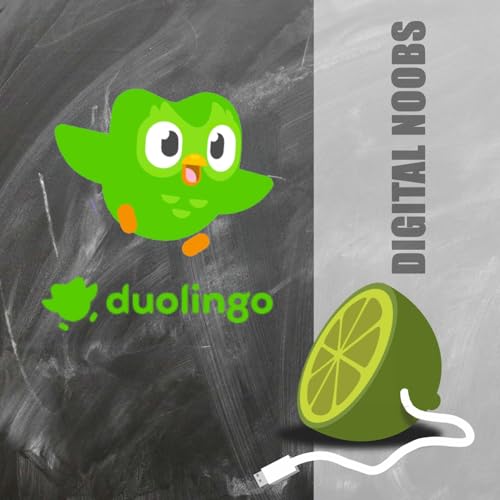 DPN 2/1 Duolingo
