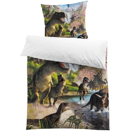 MUSOLEI Dinosaurier Bettwäsche 135x200 Kinder Jurassic World Dino Bettwäsche Jungen Teenager Jugendliche Kinderbettwäsche Mikrofaser 3D-Druck Bettbezug und 1 Kissenbezug 80x80 Geschenk 5 MUSOLEI Dinosaurier Bettwäsche 135x200 Kinder Jurassic World Dino Bettwäsche Jungen Teenager Jugendliche Kinderbettwäsche Mikrofaser 3D-Druck Bettbezug und 1 Kissenbezug 80x80 Geschenk