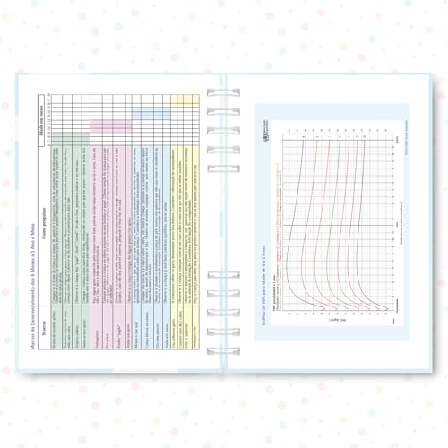 Caderneta de Saúde da Criança, Caderneta de Vacinação, Caderno de Menino, 21,5x15,5cm, 118 Páginas,