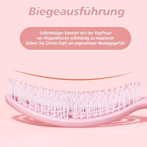 2 Stück Detangler Bürste,Bio Haarbürste ohne Ziepen für Damen, Herren & Kinder,Entwirrbürste Lange Haare mit Flexibler Spiralfeder,Kopfhaut Massagebürste