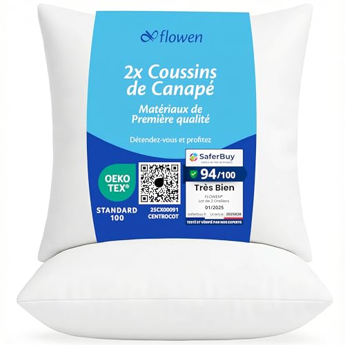 Flowen Coussin Canape 45x45 Lot de 2 Oreillers Decoratif Accessoires pour Sofa Decoration Aesthetic pour Salon et Exterieur Antiallergiques et Anti-Acariens avec Taie d'oreiller en Polyester