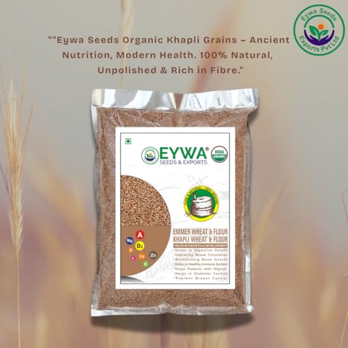 Image of Organic Khapli Wheat Grain 1 kgs For Eating And Cookings By EYWA