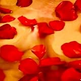 "Cover of my Dreams"