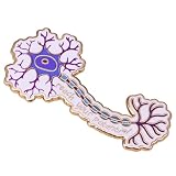 Reach Your Potential - Spilla smaltata con cellule neuronali, spilla scientifica, per scatenare il tuo potenziale, colore: viola