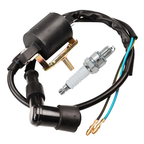 HOOUP Ignition Coil Spark Plug Kit for 50cc 70cc 90cc 110cc 125cc Tao Tao DB10 ATA-110B Coolster 3125A Apollo DB007 DB21 Kazuma Sunl Baja Chinese ATV Quad Kids Four Wheeler SSR125 Pit Dirt Bike Parts
