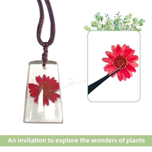 18 Stück Pflanzen-Bernsteinfossilien, Bernsteinfossil-Anhänger, verschiedene Pflanzenexemplare, in Harz konservierte Pflanzen, wissenschaftliche Sammlung und Dekoration – zufällige Muster