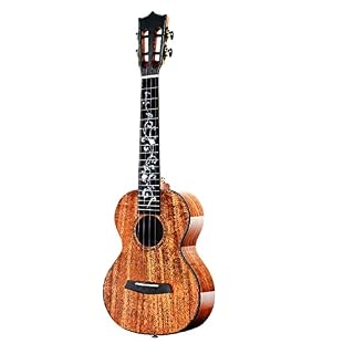 SheIRin Ukulélé de Concert, ukulélé Acoustique 23 Pouces Uke Ukulele Professional Set avec kit de démarrage (Sac de… - Les Beatles, Paul McCartney, John Lennon, RIngo Starr, George Harrison
