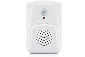 Motion Sensor Speaker: Smart Home Security Assistant