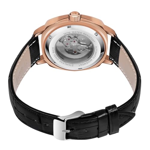 Image of ALIX AL2511 Automatic Mechanical Watch for Men Genuine Leather Strap Skeleton Dial Analog Watch