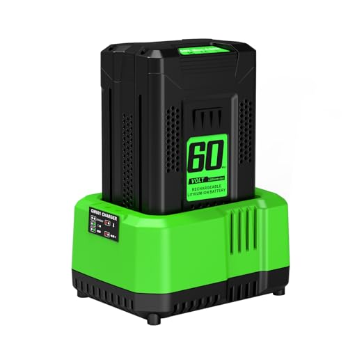 Bslite 4.0Ah Battery Replacement for Greenworks 60V Battery Compatible with Greenworks 60V Power Tools and Chargers Single-Port 60V Charger Compatible with Greenworks Pro 60V Battery
