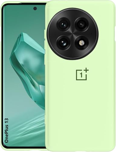 Image of MOBILOVE Back Cover Case for OnePlus 13 5G | Pure Liquid Soft Matte Silicone Case with Logo and Comes with Camera and Screen Protection Back Cover for OnePlus 13 5G (Mint Green)