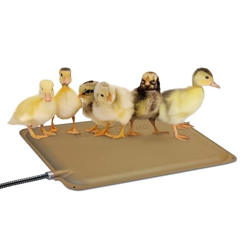 K&H Pet Products Thermo-Peep Chicken Heating Pad for Brooders and Chicken Coops, Warming Heat Plate for Chicks and Ducklings, Safety Listed Poultry Heat Lamp Alternative - Petite 12 X 9in, Tan 20W