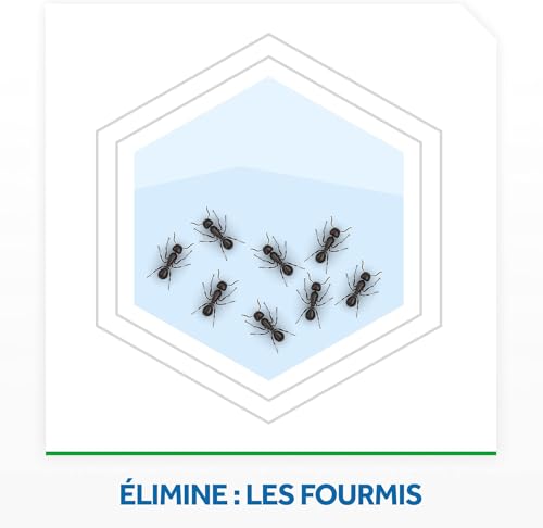 Insecticide Sytème Anti fourmis Raid La Plaquette Piège - vue 5