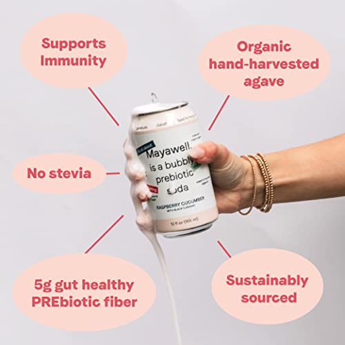 Mayawell Bubbly Prebiotic Soda: No Stevia Or Acv, Supports Gut Health & Immunity, Low Sugar & Low Calorie Drinks, Organic Agave, Fiber, Healthy Soda, Non-Gmo, Sparkling Beverage (12 Pack) Raspberry Cucumber #TOP3
