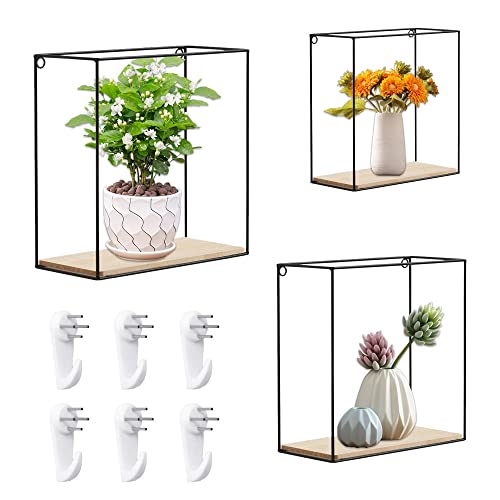 REFORUNG Lot de 3 Étagères Murales en Métal Noir Étagères Métalliques de Rangement equerre Etagere Murale de différentes Tailles Étagère en Métal Flotté Afficher Plante Livres, décoration Murale