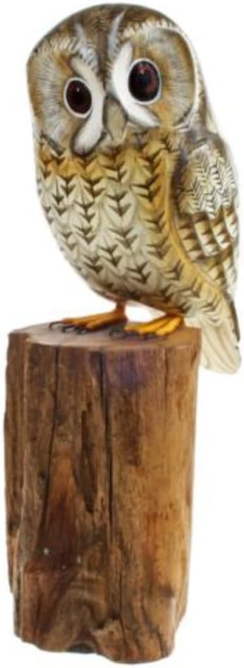 Hand Carved WOODLAND BIRD Wooden Ornament - TAWNY OWL on Tree Trunk - 25 cm