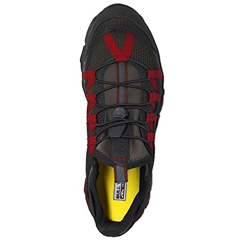 Tênis Bull Terrier Cross