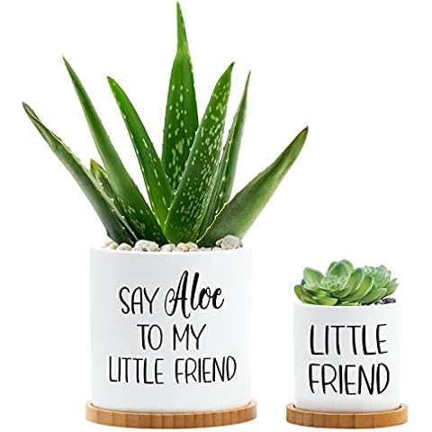 Say Aloe to My Little Friend Planter Plant Lover Set of 2 Spring Funny Pun Flower Pot with Bamboo Tray Ceramic Indoor Succulent with Hole Birthday Housewarming Gifts for Kid Mother's Day(No Plants) Cover
