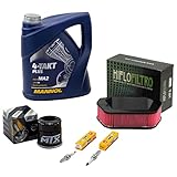 !!!!!Achtung!!!! das hier angebotene Wartungspaket Öl + Ölfilter + Zündkerzen Set entspricht nicht der Ölmenge die Sie benötigen. Die genaue Ölmenge finden Sie in Ihrer Betriebsanleitung, bitte beachten Sie das!!!!! Luftfilter Hiflo HFA4919:.