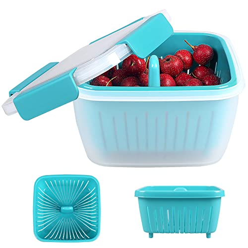 Shopwithgreen Berry Keeper Box Container, Beerenboxen halten frisch, Frischhaltedosen mit auslaufsicheren Deckeln, transparent, 1,4 l (blau) Cover