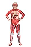 FUN Costumes Kid's Anatomical Muscle Suit Dress (Small)