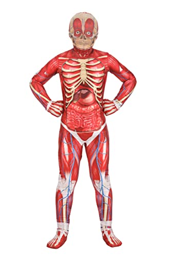 Disfraz infantil esqueleto muscular anatómico miniatura 1
