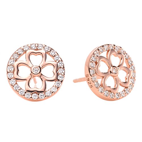 CHANGEABLE Unisex Mujer plata de ley Cubic Zirconia