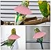 Toyvian 4pcs Parrot Outdoor Collar Bird Cone Protector Pet Elizabethan Collar for Macaw African Parakeet Cockatiel