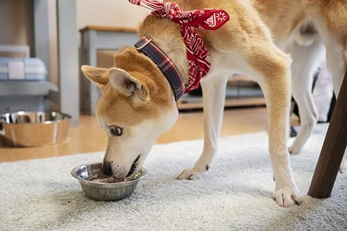 Canina Knoblauch Pulver, 1er Pack (1 x 0.7 kg)