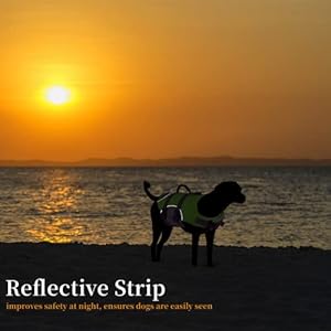 Dog Life Jacket, Reflective Adjustable Dog Life Vest with Rescue Handle for Swimming and Boating, Ripstop Pet Safety Life Preserver for Small, Medium and Large Dogs Dog Life Jacket Reflective Adjustable Dog Life Vest with Rescue Handle for Swimming and Boating Ripstop Pet Safety Life Preserver for Small Medium and Large Dogs