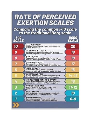 Workout Intensity Chart Poster RPE Scale Rate of Perceived Exertion 1-10 Borg Scale for Home Gym Strength Conditioning Fitness R