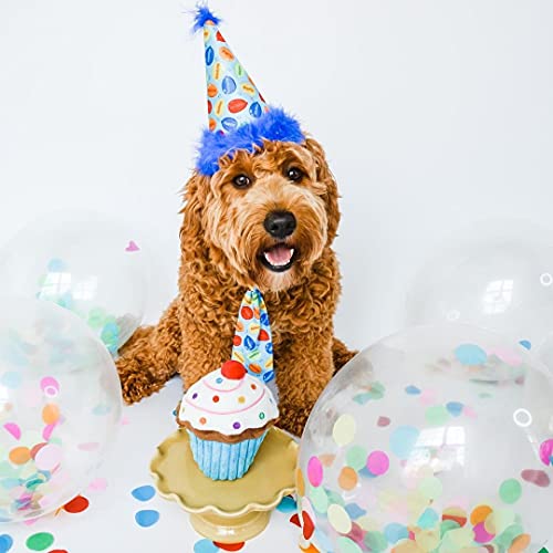 H&K Pet Party Hat | Blue Party Time (Large) | Birthday Hat For Dogs And Cats | Adjustable Strap For Comfort & Stability | Perfect For Birthday Party, Adoption Celebration Or Gotcha Day Photos #TOP4