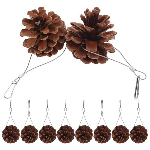 GLEAVI ���p���ނ������� �V�R���ڂ����� �̉a�V�����b�f�B���O�g�C 10�� �C���R �I�E���p�݂艺���� �y�b�g�̗V�юh��