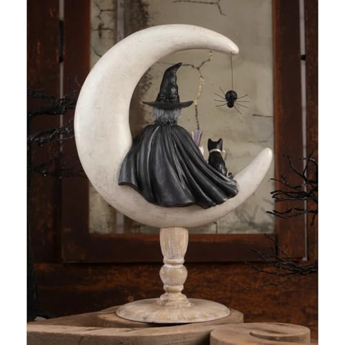 Moira Witch TD4143 Bethany Lowe - Figurine de Collection Prestige - 3