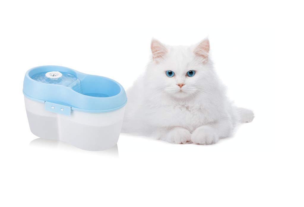 Fontaine Chat CatH2O 2L protège la santé rénale