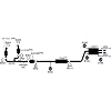 AP Exhaust 642185 Catalytic Converter
