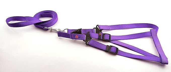 Woofy 15 MM Nylon Leash with Harness 0.5 Inch Adjustable Nylon Harness Set Suitable for Training/Walking Small Breed Dog and Puppies (Purple) (B0CW3DKNKV) Amazon Price History, Amazon Price Tracker