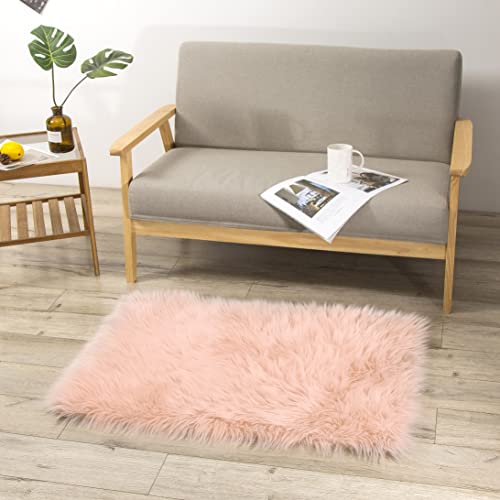 Teppich Wölkchen Pieles de imitación Piel de Cordero Alfombra de Pieles | Salón Dormitorio Deco | Alfombra de Cama Lavable, Cojín de Asiento, Pieles Deco | 60 x 90 cm - Rosa Cover