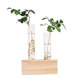 Yaootely Tubo de ensayo de cristal Jarrón Flores Plantas Hidropónico Macetero + Soporte de Madera Decorado con una Flor Decoración del Hogar