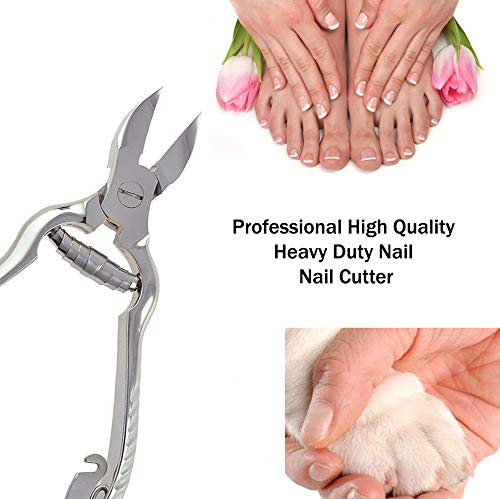 APOLINE Pinza Per Unghie 10 Cm Molla Cromata, 1 Pz