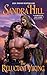 The Reluctant Viking (Viking I Book 1)