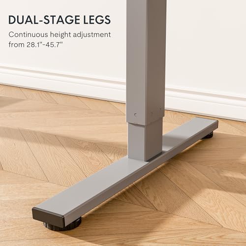 FLEXISPOT EN1 One-Piece Standing Desk, Electric Adjustable with 4 Memory Presets, 176 LBS Capacity, Stable & Quiet, Seamless Desktop for Home Office & Dual Monitors, 55"x28" White(Silver Frame)