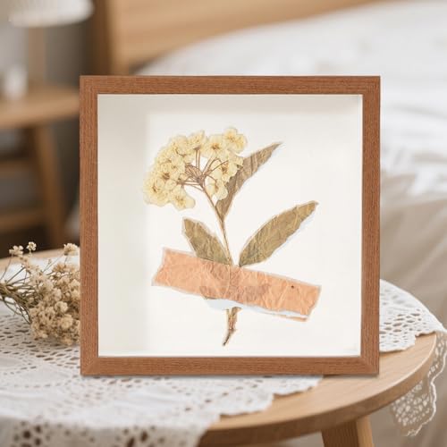 Soporte de pared transparente para guardar recuerdos familiares inolvidables 4