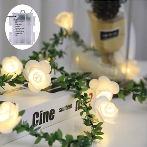 Guirlande lumineuse à piles 2.5m décoration sapin Noël intérieur extérieur
