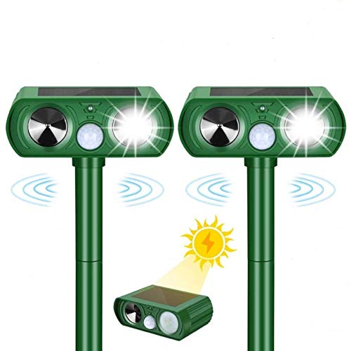 L悯 ފ 2Zbg Qb IPX4hho g \[[[d L Lގ L悯ObY Q Q΍ L   lY~悯iLED̓tbV+gjMuQianGan