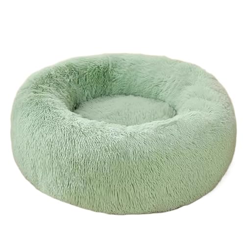 pxbh 􂦂  xbh ~ LA^AqɂœKӂ탂R Lkɕx񂾒gxbhA (O[,XXL)