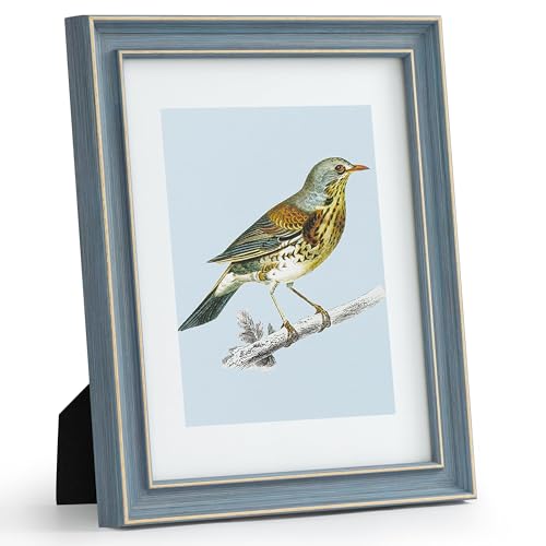 Afuly 20x25 cm Cadre Photo Vintage Bleu Cadre Photo Rétro Antique Déco Murale Desktop pour...