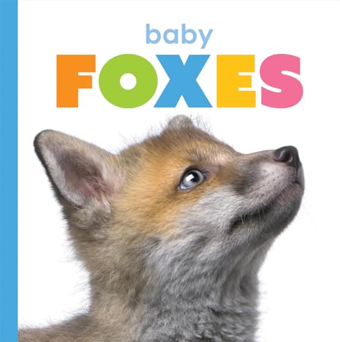 Baby Foxes (Starting Out)