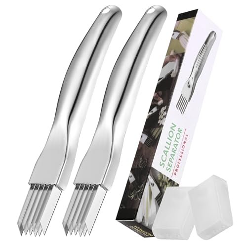 2Pcs Upgrade Shred Silk The Knife, Stainless Steel Green Onion Cutter, Multifunctional Kitchen Vegetable Chopper for Garlic Onion, Premium Food Slicer Gadget, Off the College
